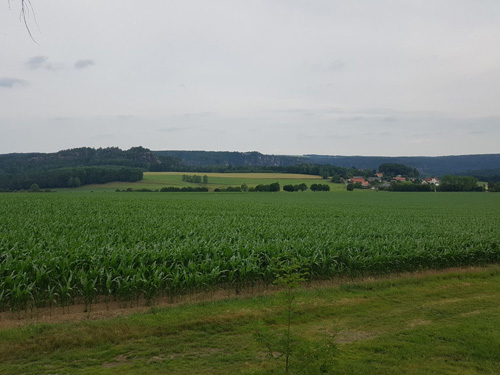koenigstein 03