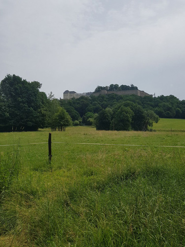 koenigstein 08